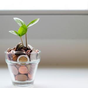 A small plant growing out of a pot of coins near a window. 